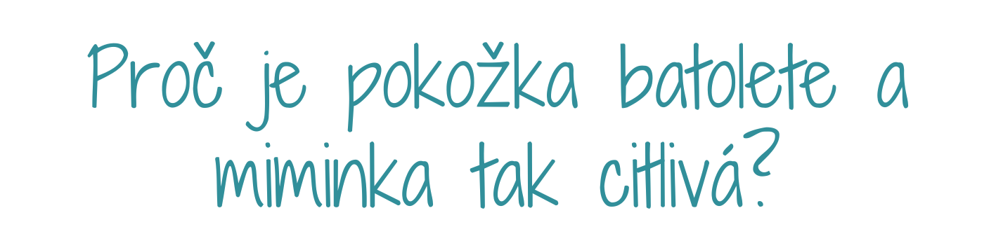 2.Tip (15 x 2 cm) (6 x 5 cm) (6 x 4 cm) (4 x 6 cm) (12 x 3 cm)